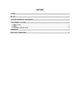 Referāts 'Stratēģijas analīze uzņēmumā', 1.