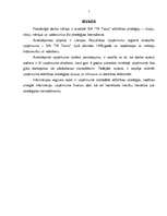 Referāts 'Stratēģijas analīze uzņēmumā', 2.