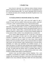 Referāts 'Napoleona fenomens', 9.