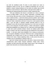 Referāts 'Napoleona fenomens', 20.