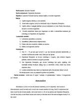 Referāts 'Napoleona fenomens', 38.