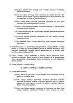 Paraugs 'Dzīvokļa līzinga līgums', 4.