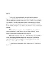 Referāts 'Psihodinamiskā terapija', 2.