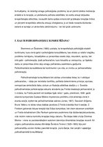 Referāts 'Psihodinamiskā terapija', 8.