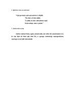 Eseja 'Spīdola Raiņa lugā "Uguns un nakts"', 2.