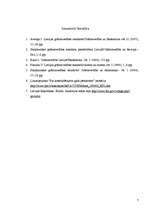 Eseja 'Starptautisko grāmatvedības standartu nozīme LR gobālajā biznesa vidē', 7.