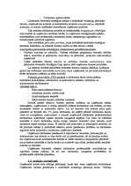 Referāts 'Lattelekom', 13.