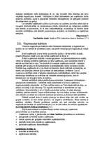 Referāts 'Lattelekom', 14.