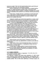 Referāts 'Lattelekom', 17.