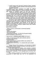 Referāts 'Lattelekom', 38.