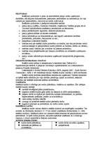 Referāts 'Lattelekom', 43.