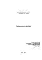 Referāts 'Darba resursu plānošana', 1.