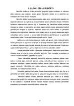 Prakses atskaite 'Prakse Lūznavas pagasta padomē', 13.