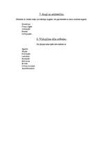 Konspekts 'Augi dažādos interjera stilos', 3.