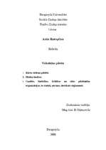 Referāts 'Viduslaiku pilsēta', 1.