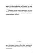 Referāts 'Viduslaiku pilsēta', 7.