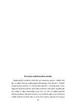 Referāts 'Portrets venēciešu glezniecībā un renesanses mākslas kontekstā', 25.