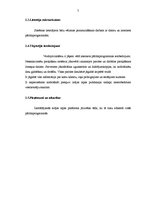 Referāts 'Programmatūras prasību specifikācija mājas lapai', 7.