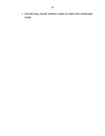 Referāts 'Programmatūras prasību specifikācija mājas lapai', 30.