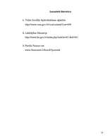 Referāts 'Latvijas pensiju sistēmas trīs līmeņi', 14.