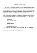 Referāts 'A/s "Cēsu alus" zīmola "Cēsu Premium" attīstība', 6.