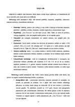 Referāts 'A/s "Cēsu alus" zīmola "Cēsu Premium" attīstība', 8.