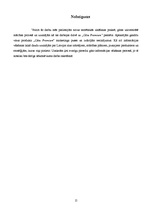 Referāts 'A/s "Cēsu alus" zīmola "Cēsu Premium" attīstība', 13.