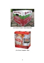 Referāts 'A/s "Cēsu alus" zīmola "Cēsu Premium" attīstība', 17.