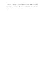 Eseja 'Care for Elderly', 15.