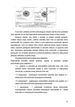 Diplomdarbs 'Elektriska tīkla rekontrukcija', 67.