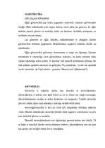 Konspekts 'Mākslas veidi', 3.