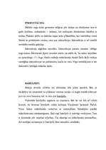 Konspekts 'Mākslas veidi', 5.