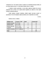 Biznesa plāns 'Biznesa plāns. SIA "Anemon"', 24.