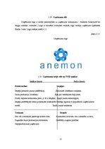 Biznesa plāns 'Biznesa plāns. SIA "Anemon"', 25.