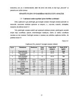 Biznesa plāns 'Biznesa plāns. SIA "Anemon"', 27.