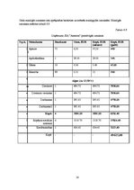 Biznesa plāns 'Biznesa plāns. SIA "Anemon"', 28.