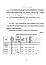 Biznesa plāns 'Biznesa plāns. SIA "Anemon"', 30.