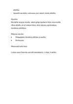 Referāts 'Mūzikas stundu terapija bērniem ar garīgās attīstības traucējumiem', 37.