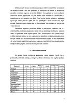 Referāts '"Jordan" zobu birstīšu mārketinga stratēģija Latvijā', 7.