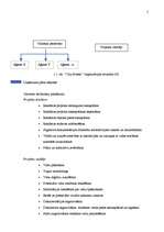 Prakses atskaite 'SIA "City Screen"', 3.