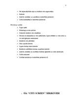 Prakses atskaite 'SIA "City Screen"', 4.