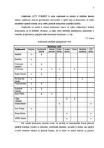 Prakses atskaite 'SIA "City Screen"', 6.