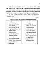 Prakses atskaite 'SIA "City Screen"', 11.