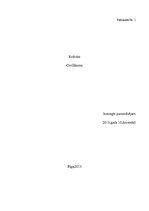 Referāts 'Civillikums', 1.