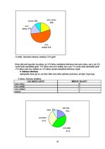 Referāts 'Pārtikas piedevu ietekme uz bērnu veselību', 29.