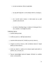 Konspekts 'Platona dialoga "Dzīres" konspekts', 10.