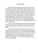 Referāts 'Enerģijas dzērieni', 4.