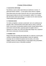 Referāts 'Enerģijas dzērieni', 5.