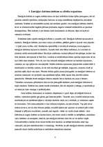 Referāts 'Enerģijas dzērieni', 8.