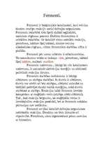 Konspekts 'Fermenti', 1.